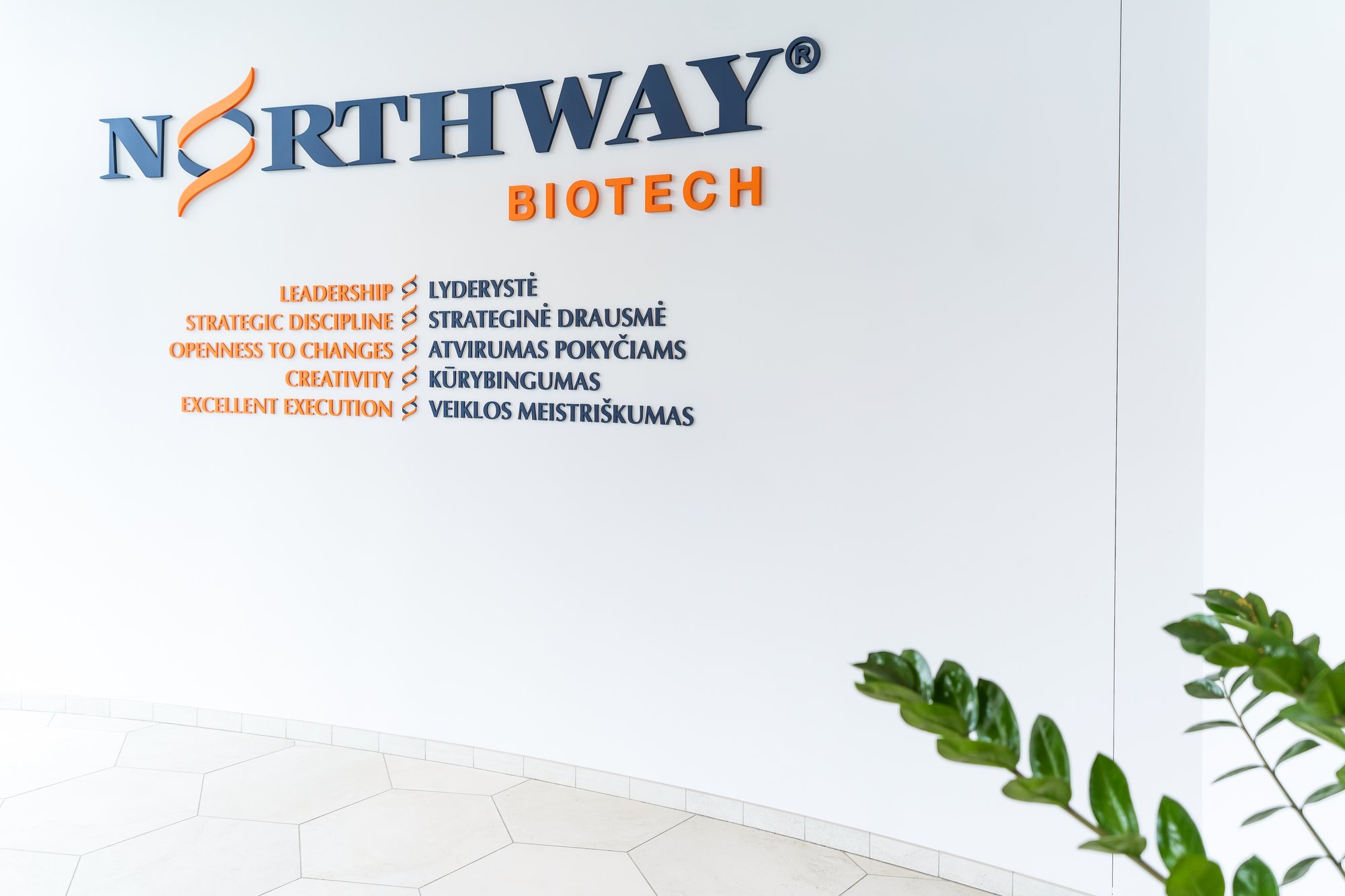 Northway Biotech logo