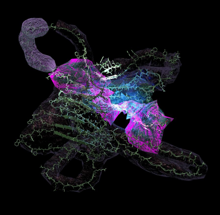 Nomeda & Gediminas Urbonas and Markus J. Buehler. Amphibian Drift. XR Experience.